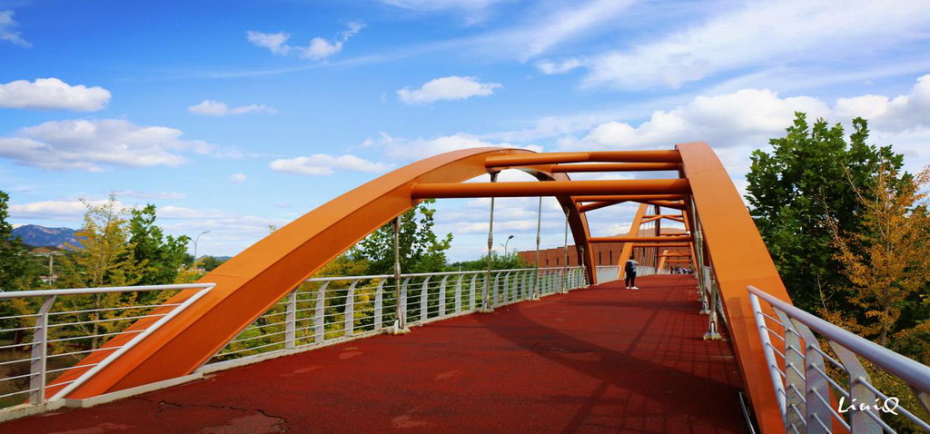 1557995377021013290.jpg 图三r.jpg